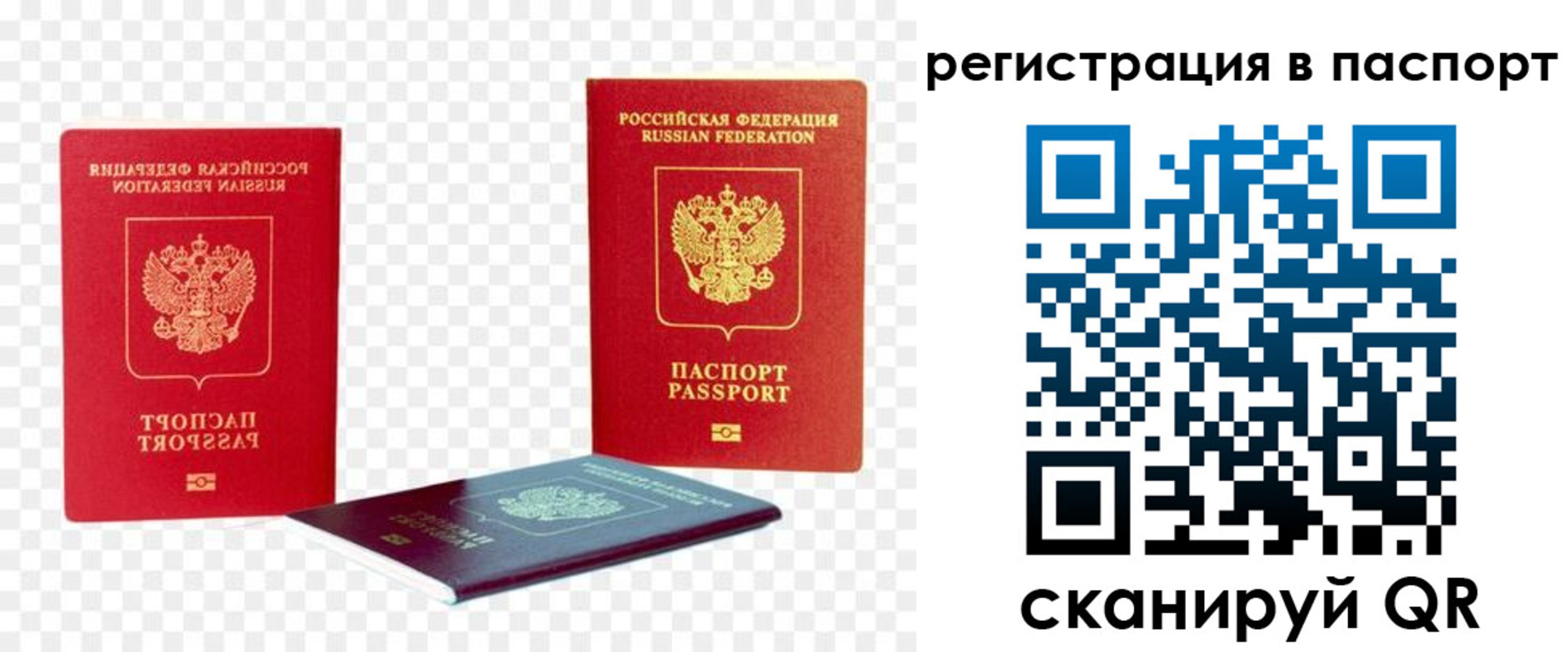 временная регистрация поиск в Обояни
